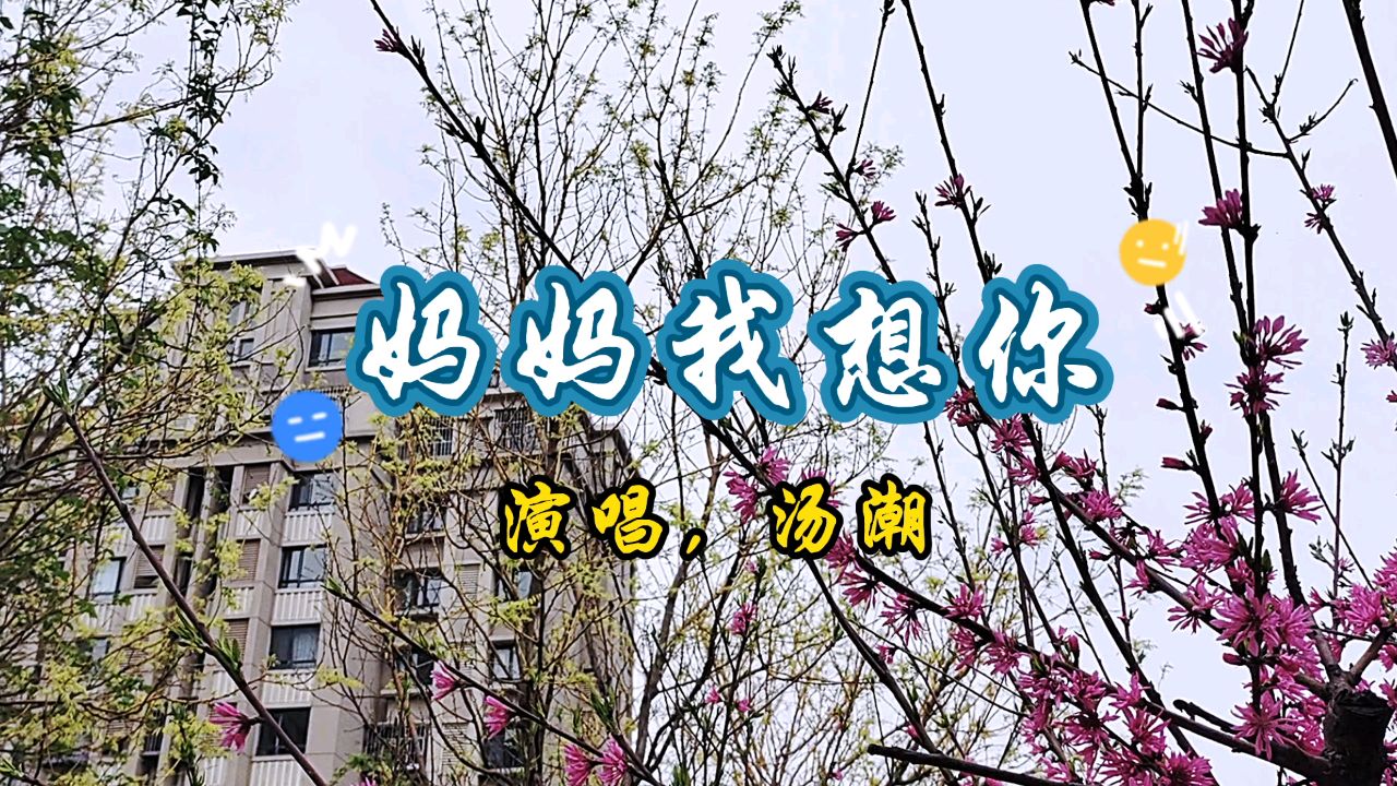 汤潮歌曲(汤潮歌曲大全100首)