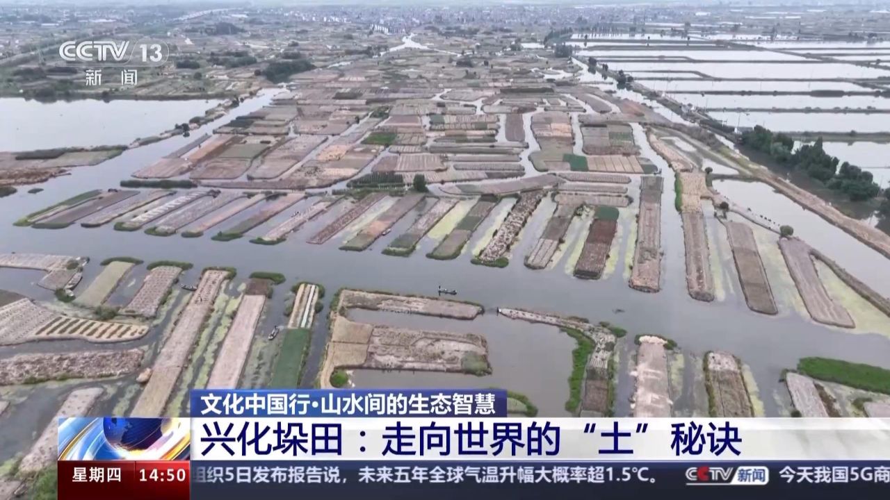 文化中国行丨曾经的洪水走廊变成"人间天堂" 兴化垛田到底有何魅力?