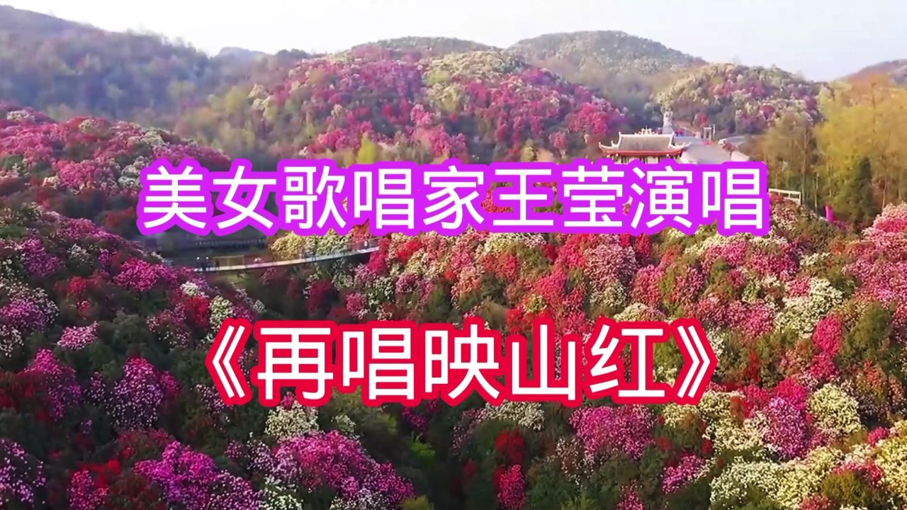 美女歌唱家王莹深情演唱的《再唱映山红》,声音清澈感人至深