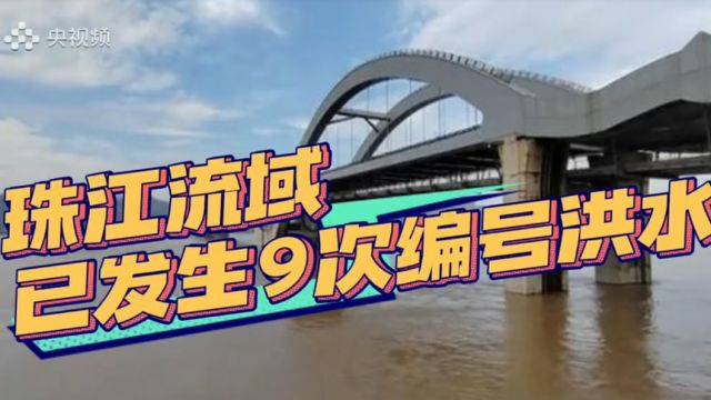 1998年以来最多!今年入汛以来,珠江流域已发生9次编号洪水