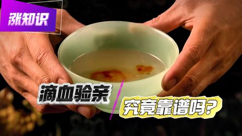 古代的滴血验亲到底靠谱吗?实践出真知!_高清1080P在线观看平台_腾讯视频