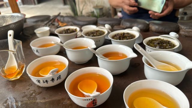 小孩子能不能喝茶?应该怎么正确喝茶?茶老板用亲身经历告诉你!