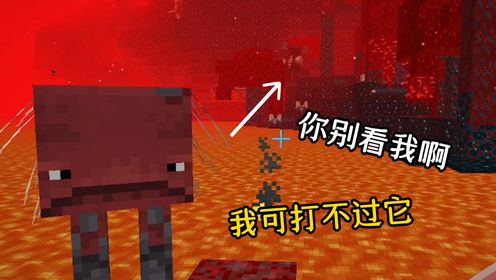 我的世界:猪灵:你带了个什么玩意过来?监守者第五期_高清1080P在线观看平台_腾讯视频
