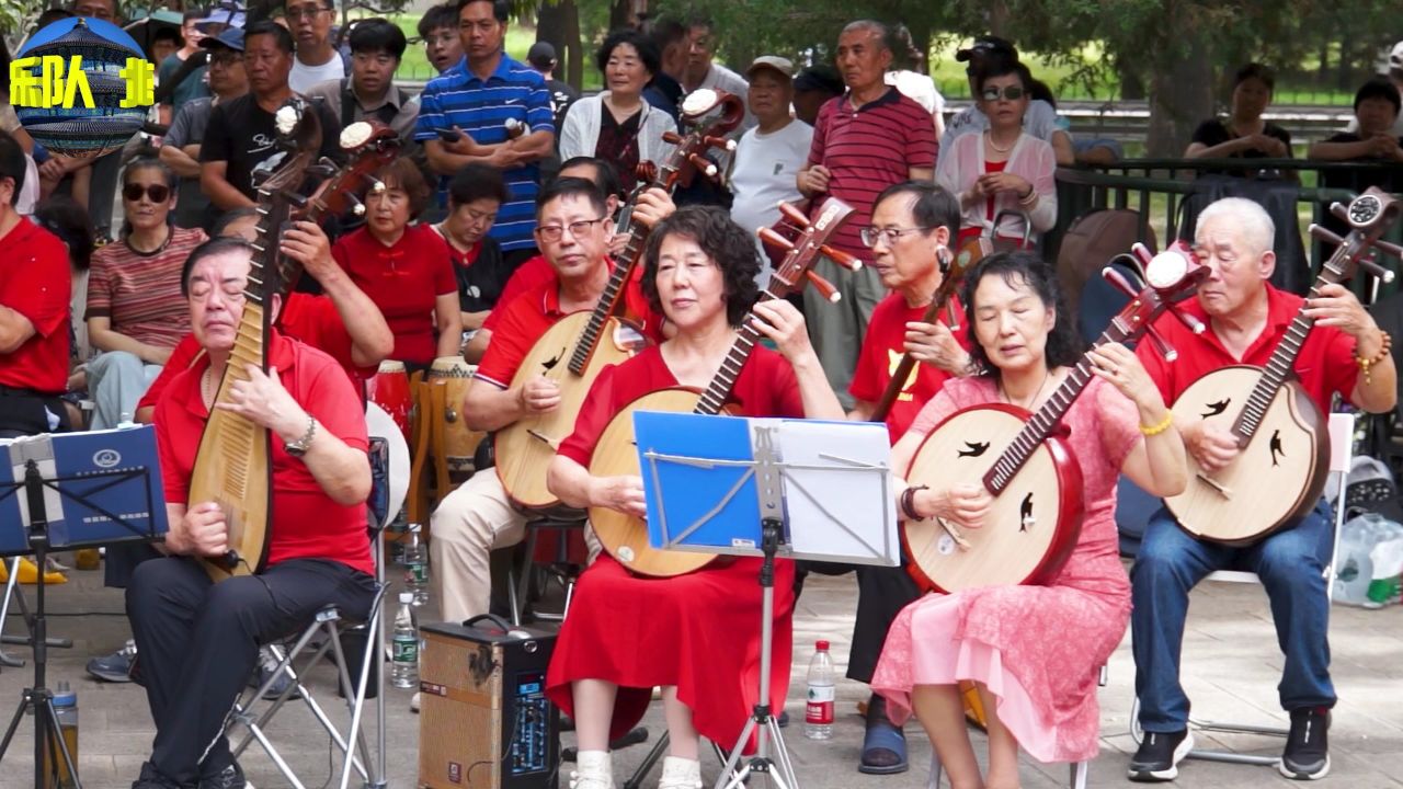 桃花红杏花白器乐演奏图片