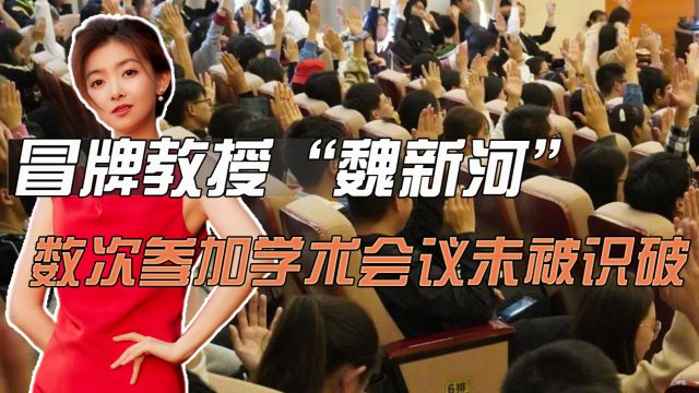 冒牌教授“魏新河”,数次参加学术会议未被识破,真实身份疑似公务员