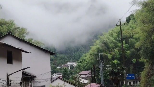 烟雨仙源(山青水秀家乡美)!