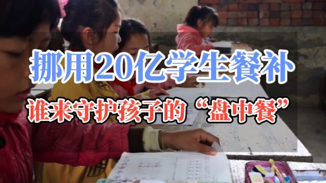 政府挪用20亿学生餐补,审计曝光,谁来守护孩子的“盘中餐”?