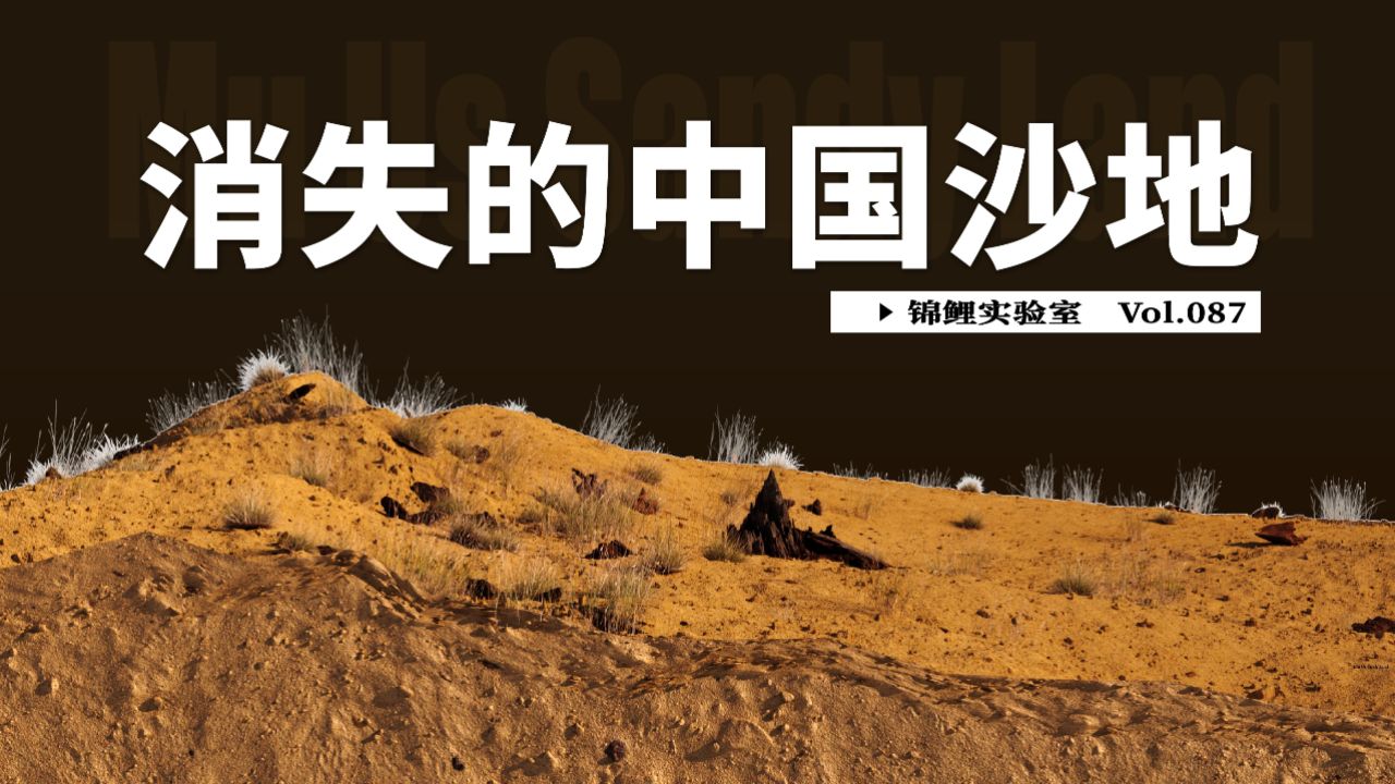 中国治沙人如何让毛乌素沙地变绿洲?