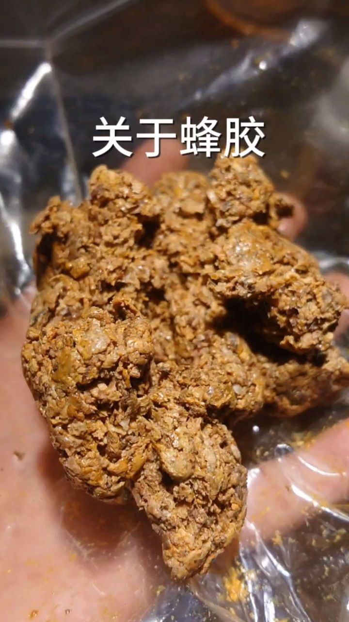 黑蜂胶图片大全图片