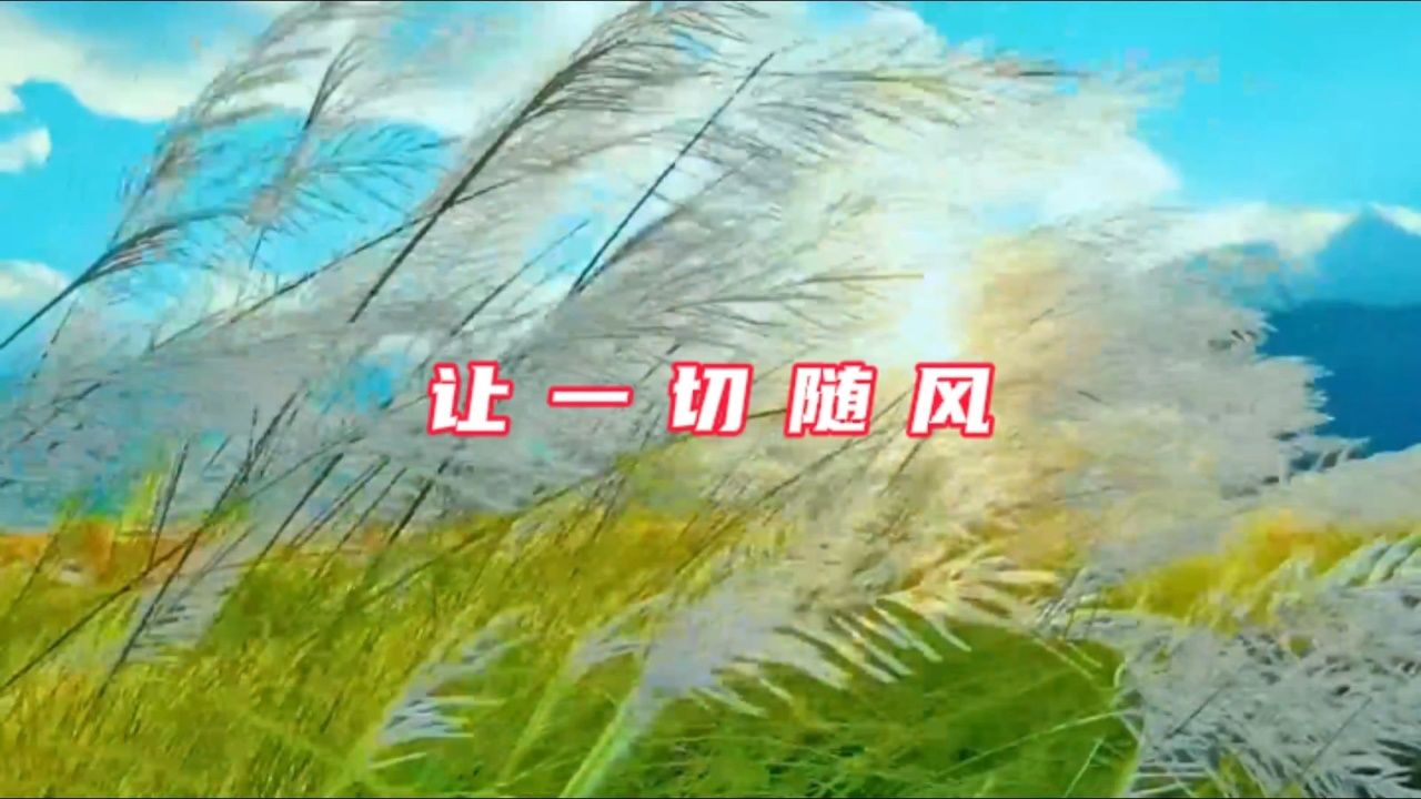 心里冷风 吹散了梦 粤语精选《让一切随风》钟镇涛