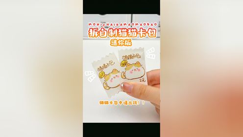  拆自制猫猫卡包🐱迷你版