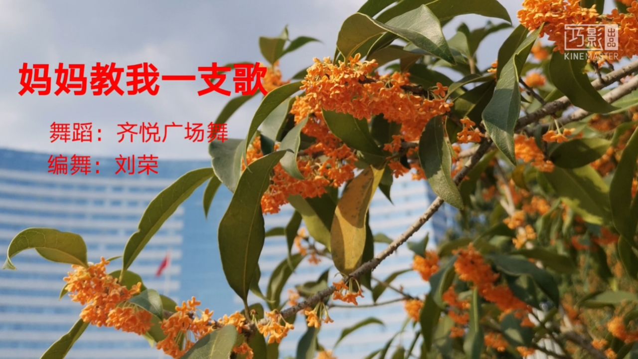 齐悦舞队《妈妈教我一支歌》