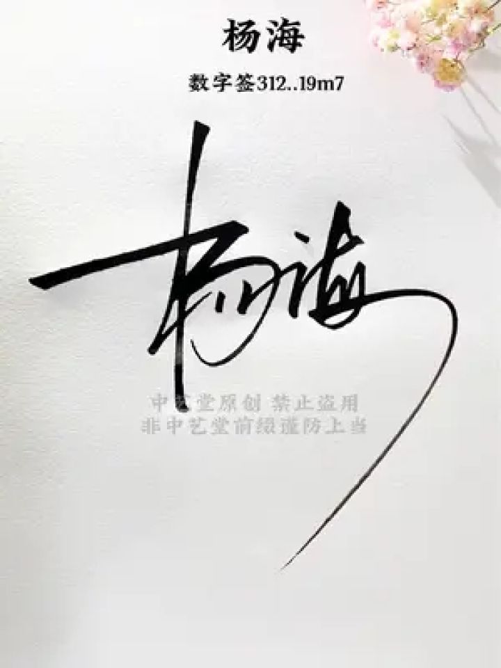 签名就用简单又好看的方式杨海，数字签312,19m7,潇洒大气，实用易懂的签名写法，很多人都用的上#签名设计#中艺堂签名_高清1080P在线 ...