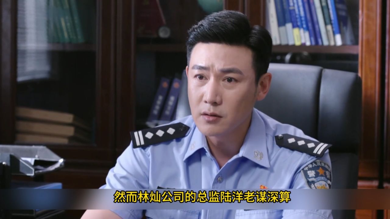 《人民警察:情人身陷囹圄,经理情迷秘书:洗钱网络下的爱恨交织#人民