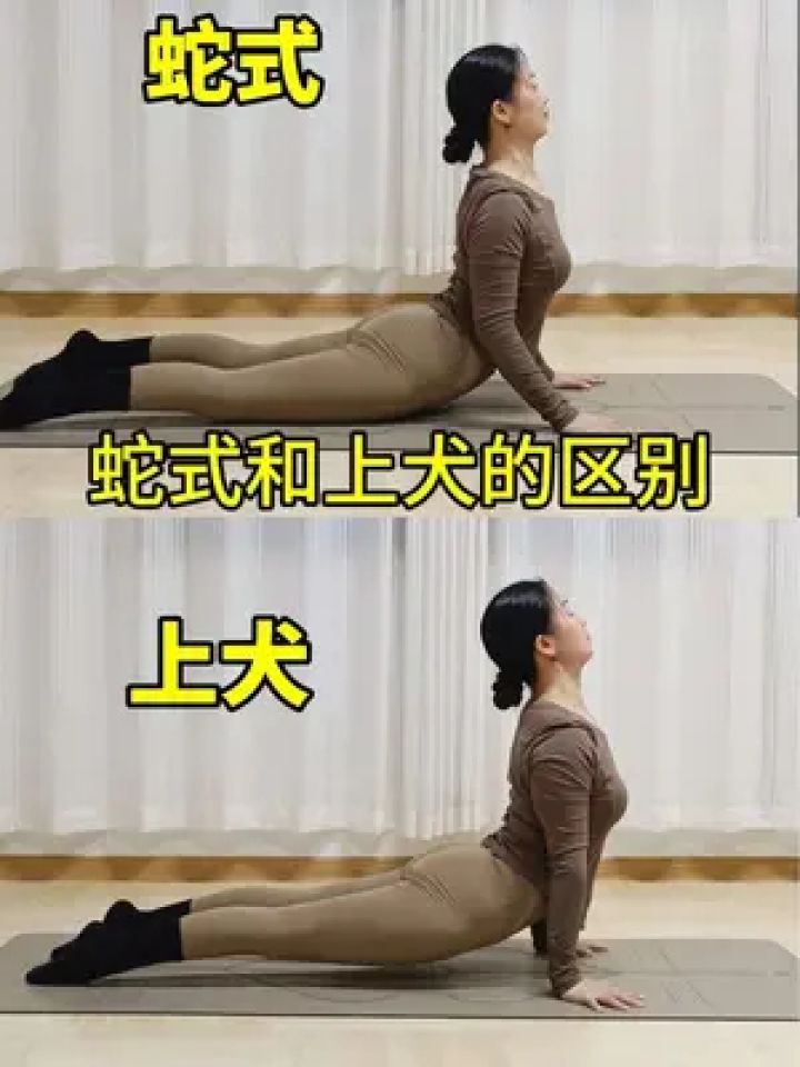 瑜伽#体式分享#基础学瑜伽