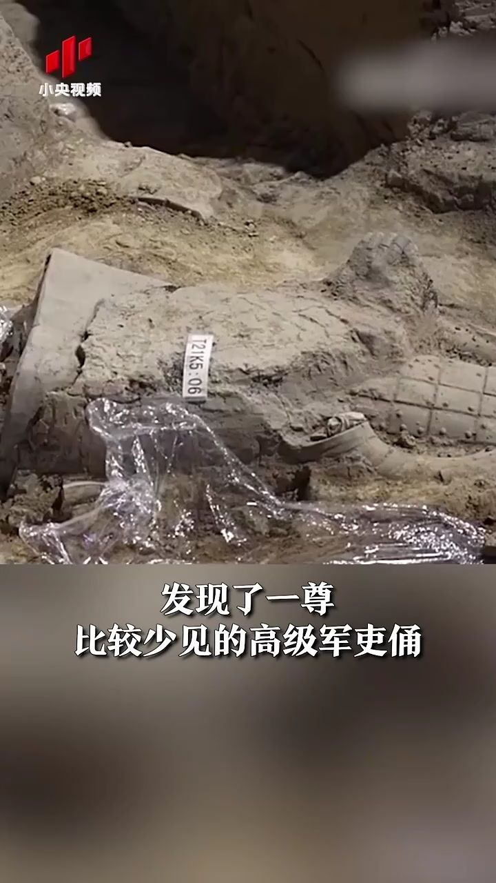 杨东义兵马俑发现者图片