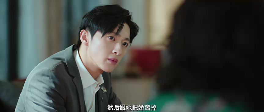 丽人归来 12集