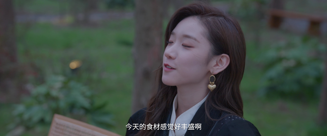 爱的未知 12集