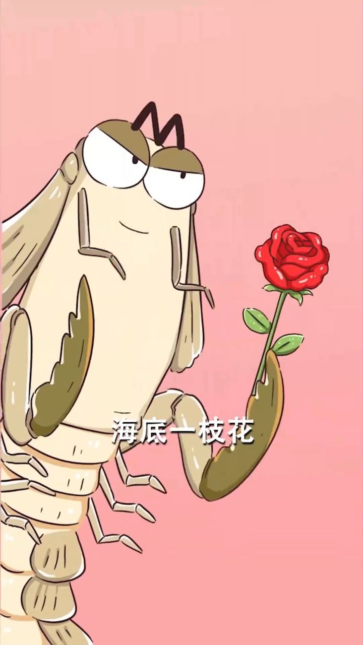 皮皮虾相亲大会开始啦!_36_高光片段