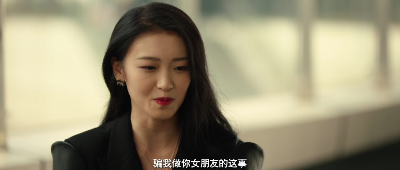 丽人归来 20集