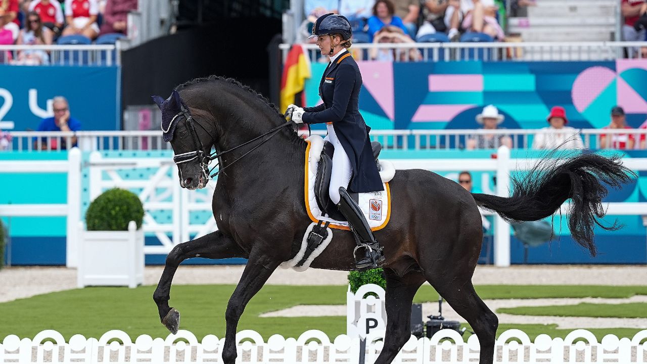 【金牌时刻】马术团体盛装舞步特别大奖赛德国险胜丹麦夺金