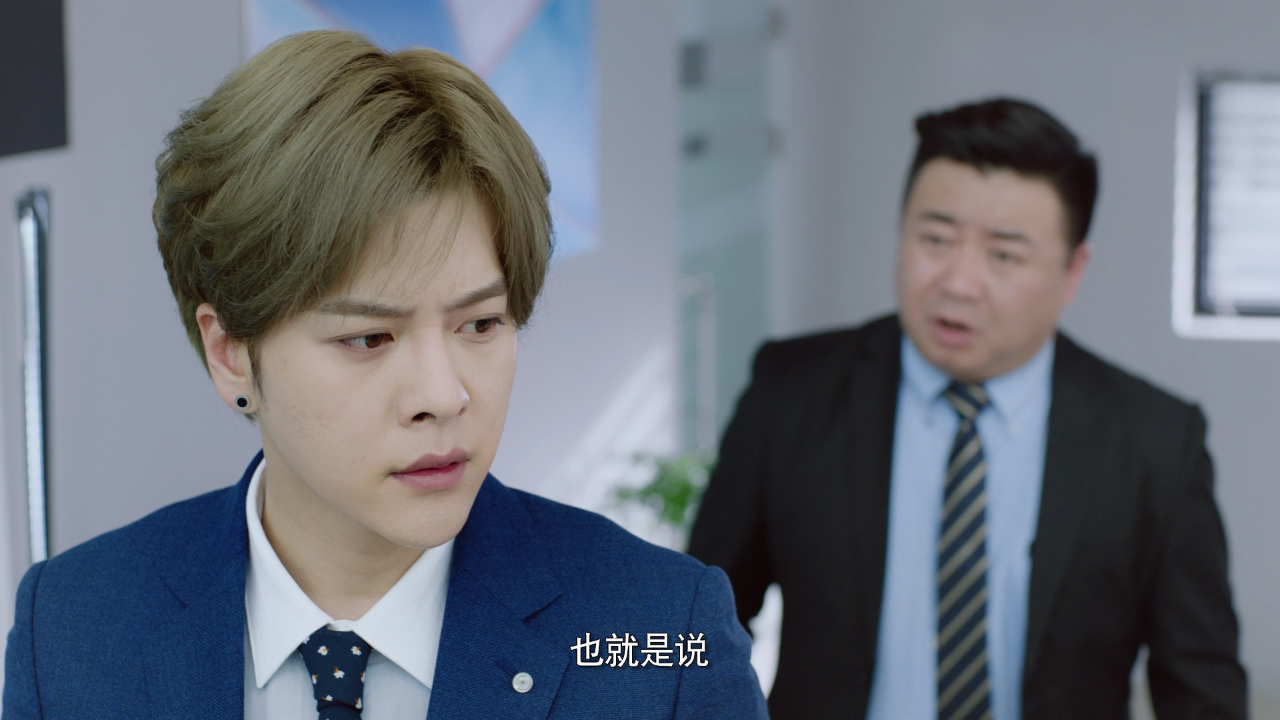 心不由己 20集