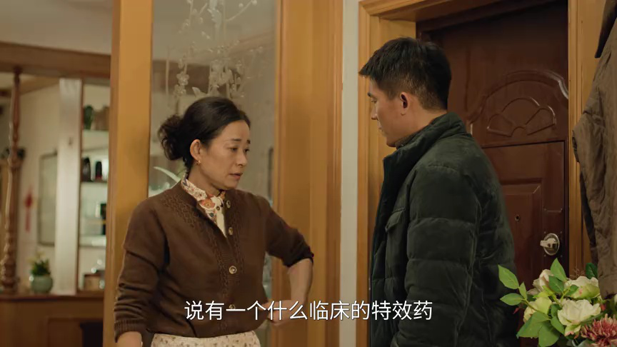 刑警的日子 21集