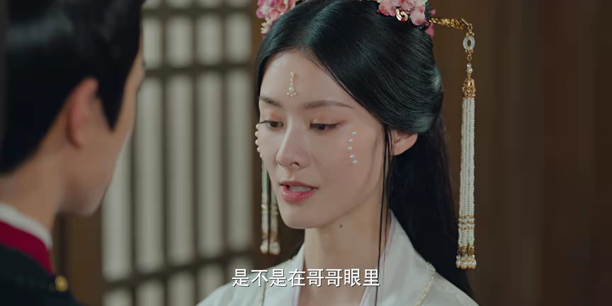 藏珠 10集