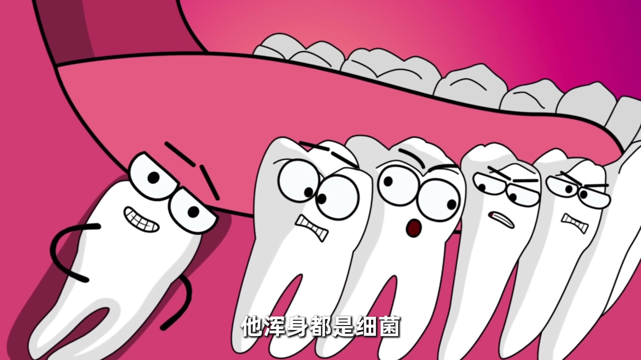 器官大冒险 身体里的开心派对 10集
