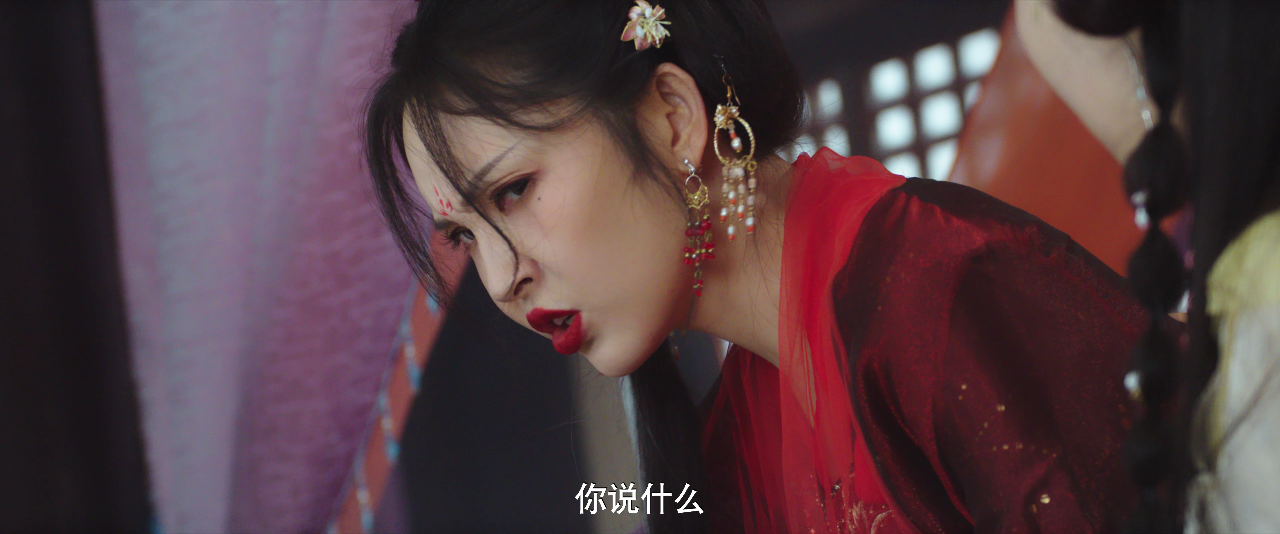 将军家的小儿子 13集