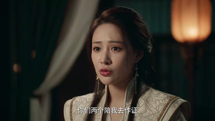 将军夫人为何那样 21集