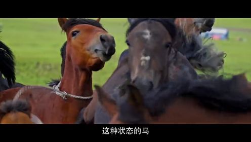 海报图
