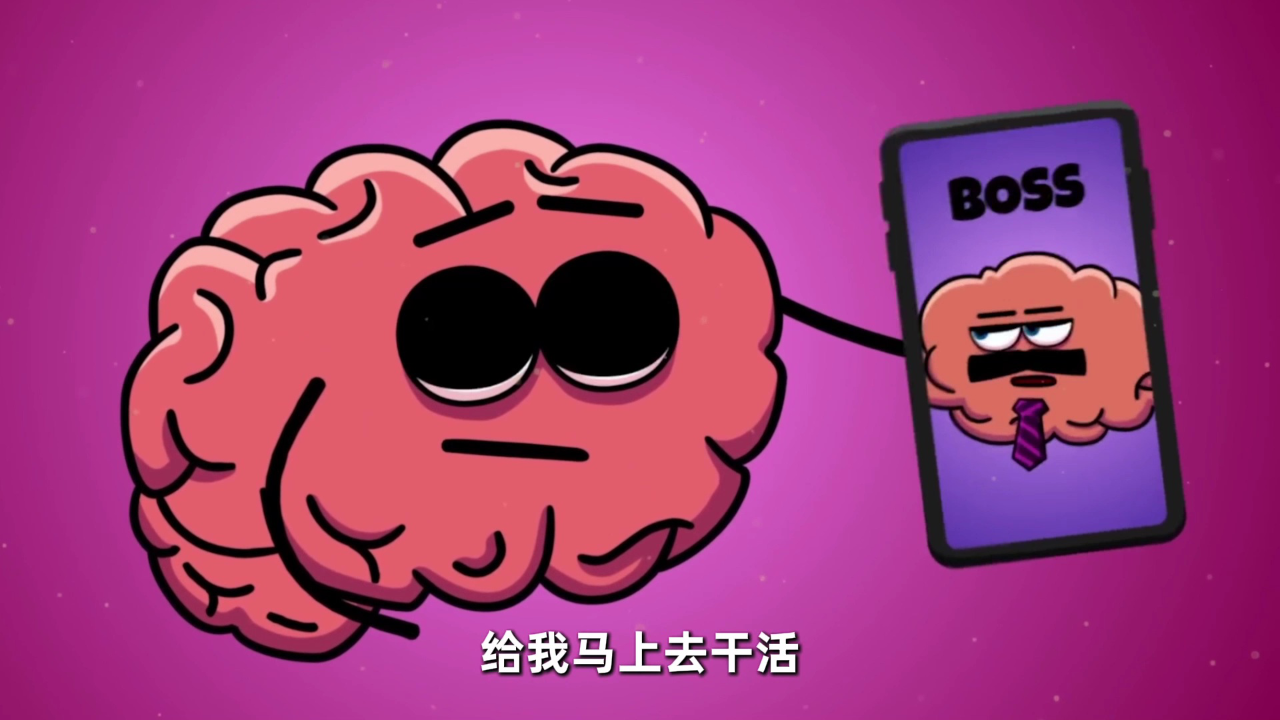 器官大冒险 身体里的开心派对 4集