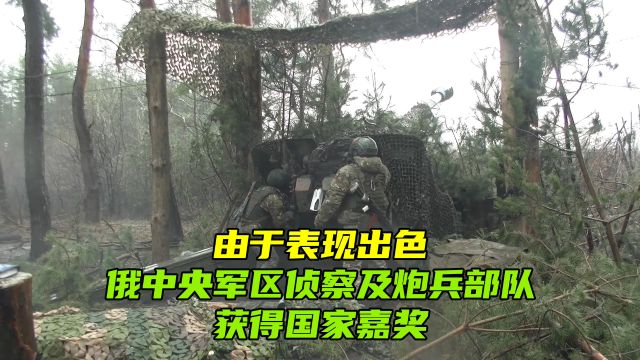 协调一致!俄军炮兵连使用榴弹炮,精准打击乌军指挥所及火力武器