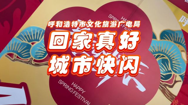 呼和浩特市文化旅游广电局“回家真好”城市快闪活动,2月4日 振华广场不见不散!