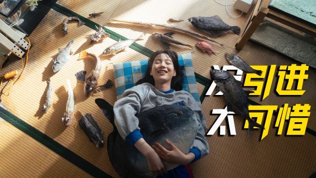 豆瓣8.1,当年上映时一票难求!这片没引进,太可惜了