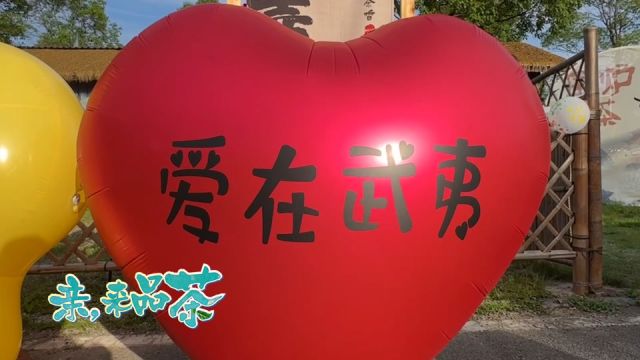 爱在武夷|“亲,来品茶”两岸青年武夷山打卡季一起来联欢!