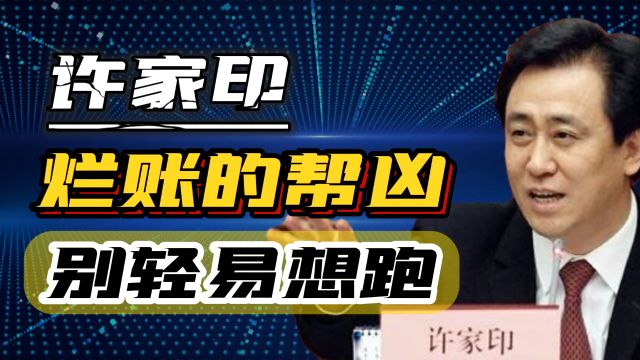 14年!为许家印的烂账保驾护航,怎能容忍一个外资公司在中国作恶