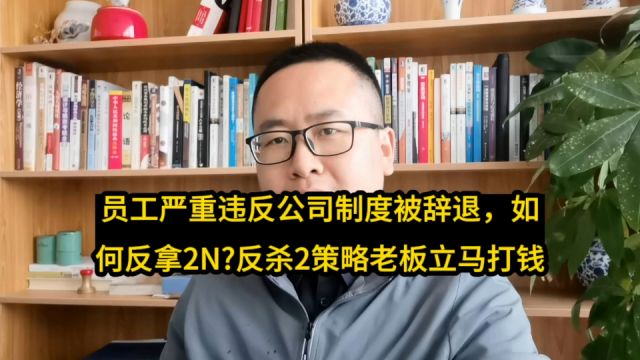 员工严重违反公司制度被辞退,如何反拿2N赔偿?反杀2策略立马来钱