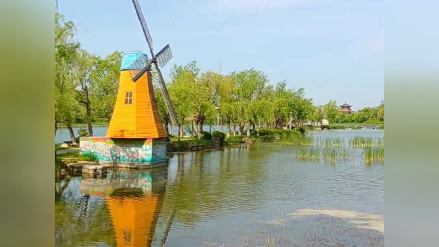 博览视频︱天气晴方好 湖畔景色新