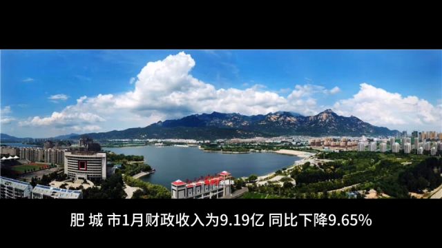 2024年1月泰安各地财政收入,泰山区位居第二,新泰增速第一