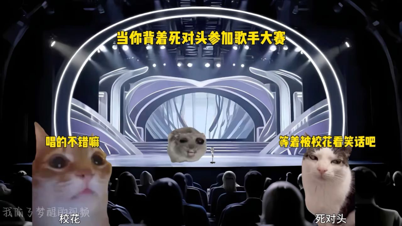 当你背着死对头参加歌手大赛#猫meme#音乐分享#戴上耳机#猫meme小剧场#生死相随_高清1080P在线观看平台_腾讯视频