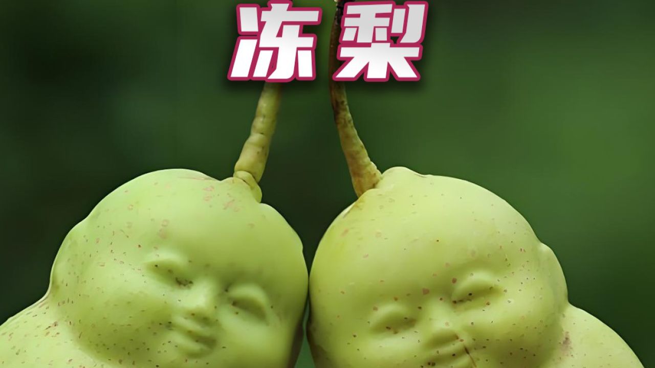 万万没想到,人形梨真研究出来了_高清1080P在线观看平台_腾讯视频