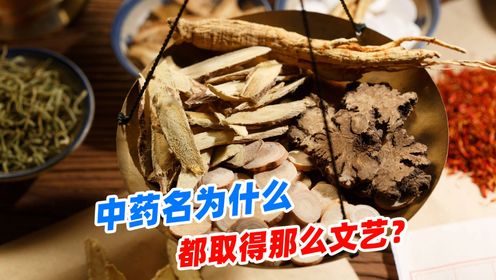 中药名为什么,都取得那么文艺?知道真名后就下不去口了_高清1080P在线观看平台_腾讯视频