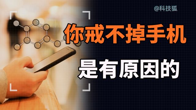 【科技狐】为什么我们会沉迷手机?因为有几千万人以此来谋生