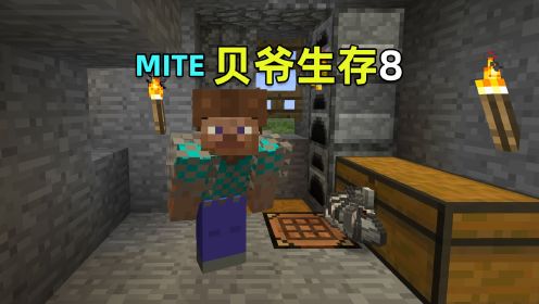 MITE贝爷生存8：一个矿洞直接脱贫，铁砧登场！我的世界