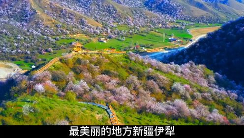 新疆伊犁河谷有多美，青山绿水让人心旷神怡，一起来看看