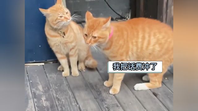 好借好还,再借不难