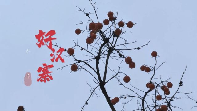 20231125好汉寨——阳泉自由兵俱乐部