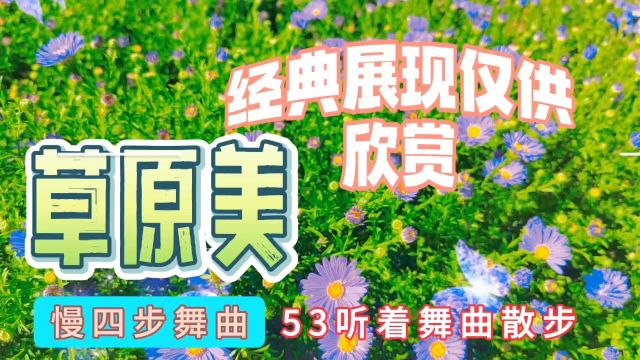 听着舞曲漫步53,草原美,慢四步舞曲